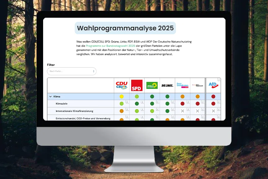 Computerbildschirm mit vergleichender Tabelle zur Wahlprogrammanalyse von Union, SPD, Grüne, Linke, FDP, BSW, AfD